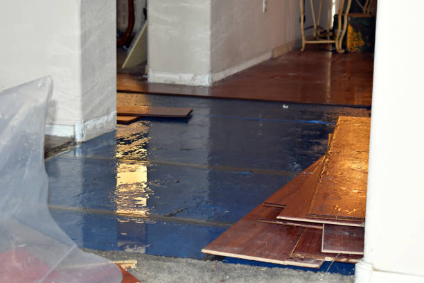 Professional Sewage Cleanup technician working in New Bloomington, OH
